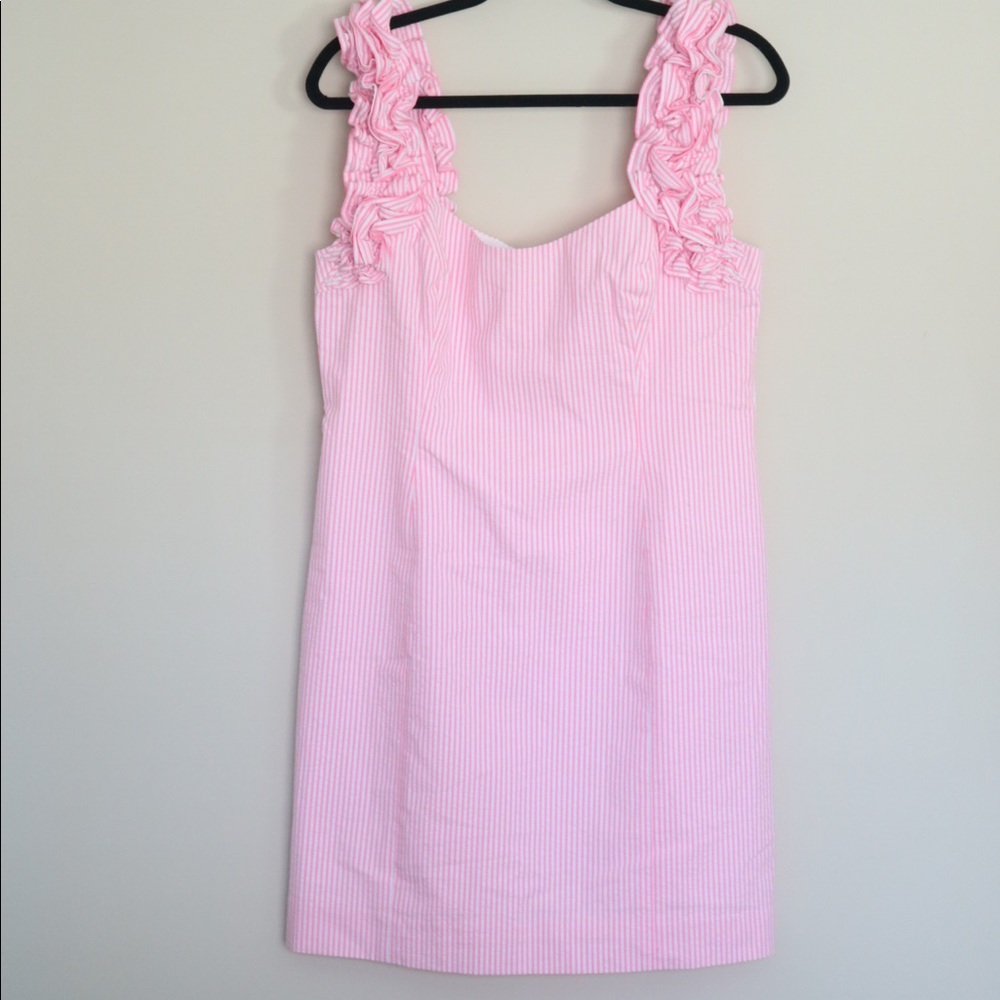 NWT Devina Dress